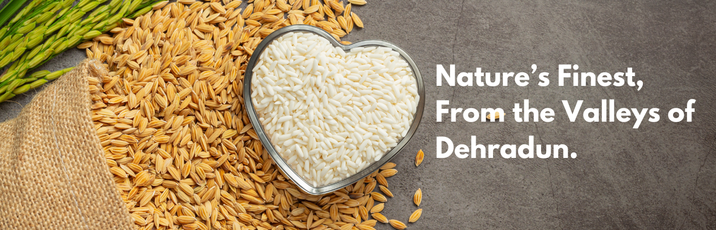 Naini Rice banner (3)